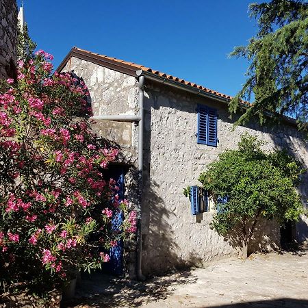 The Istrian Vila Vrsar Exterior foto